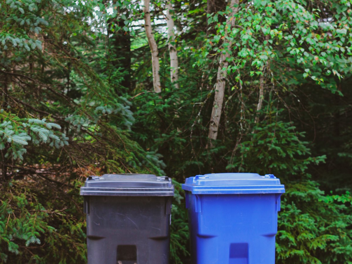 Bin Cleaning